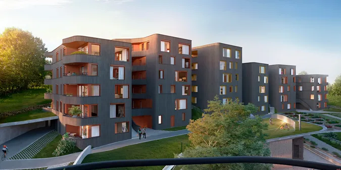 71094037_2461288627446652_4019138706634964992_n