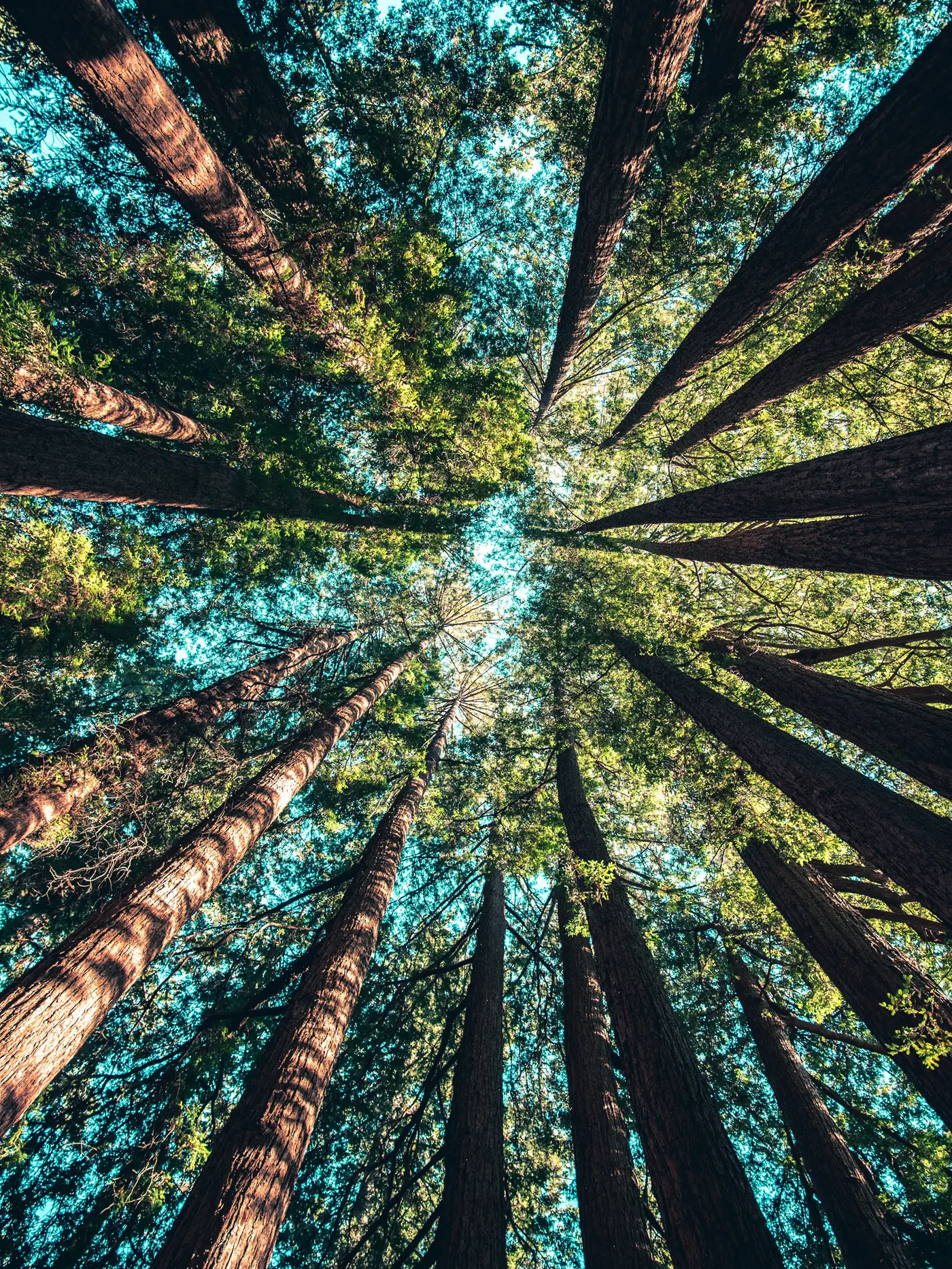 casey-horner-487085-unsplash